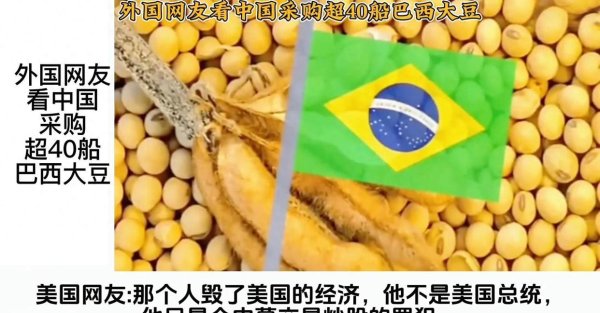 大牛配资网 拉美的“深圳”崛起，巴西获中国订单成关税摩擦的最大受益者！