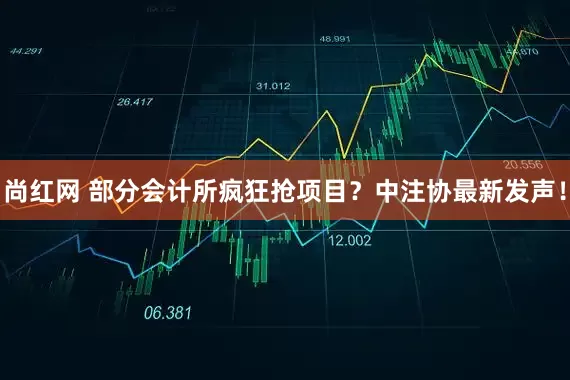 尚红网 部分会计所疯狂抢项目？中注协最新发声！