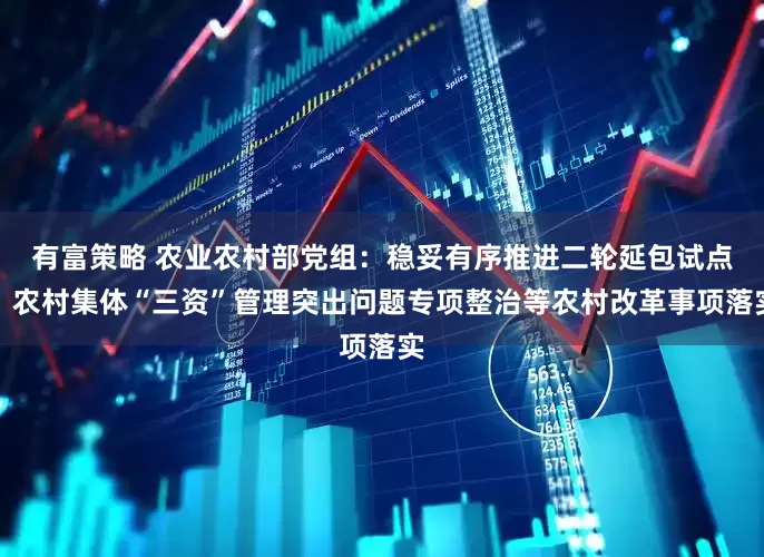 有富策略 农业农村部党组：稳妥有序推进二轮延包试点、农村集体“三资”管理突出问题专项整治等农村改革事项落实