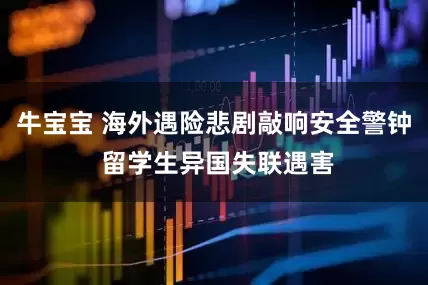 牛宝宝 海外遇险悲剧敲响安全警钟 留学生异国失联遇害